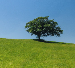 برش عکس در فتوشاپ